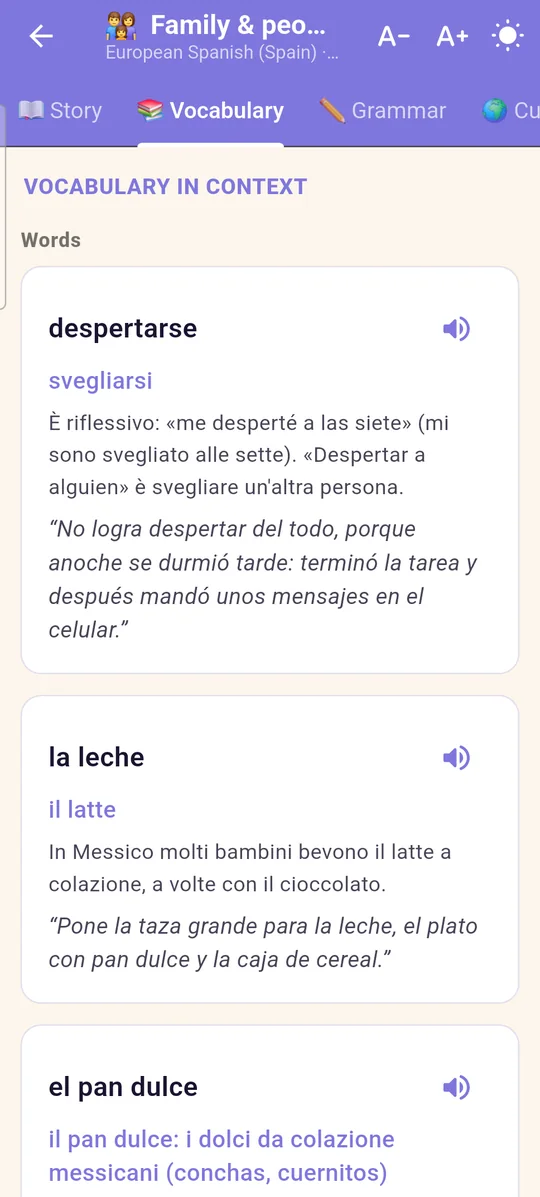 Vocabulary in context with Spanish words, meanings and examples